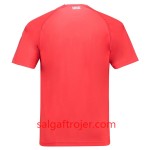 Schweiz Fodboldtrøjer Hjemmebanesæt VM 2018